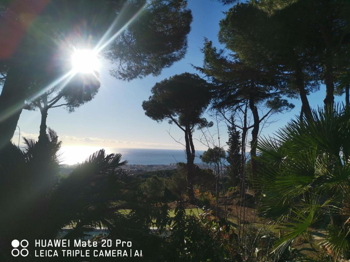 Villa Maresme & Villa Rosa Mataro Bagian luar foto
