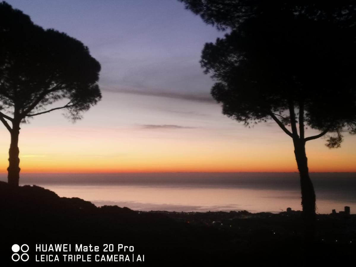 Villa Maresme & Villa Rosa Mataro Bagian luar foto