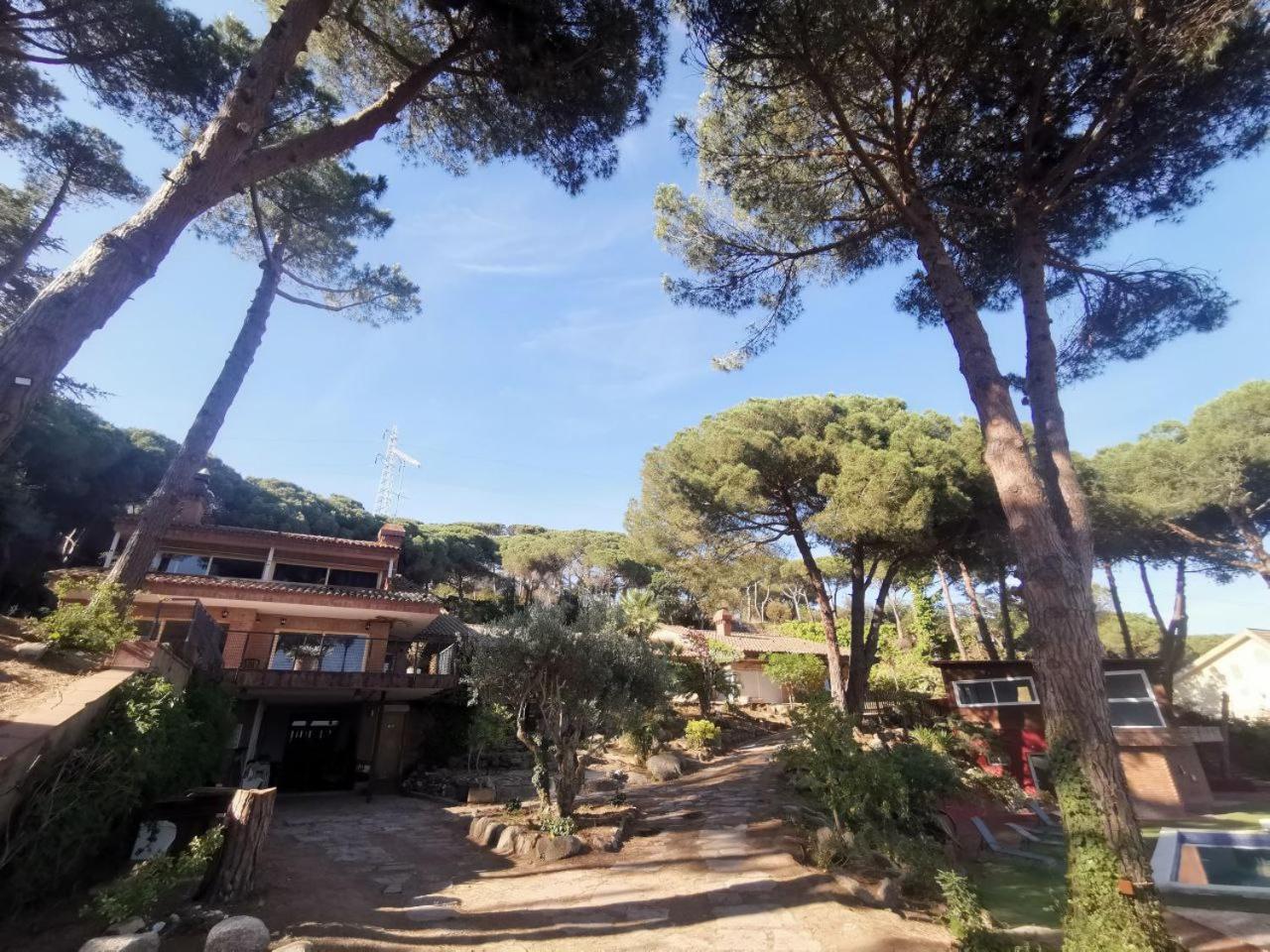 Villa Maresme & Villa Rosa Mataro Bagian luar foto
